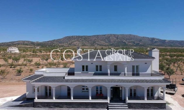 Villa - New Build - Pinoso - Pinoso