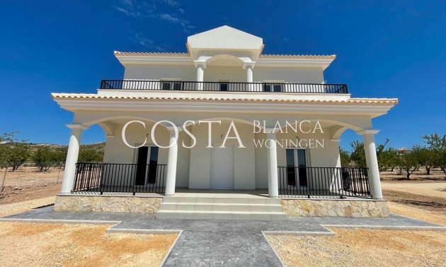 Villa - New Build - Pinoso - Pinoso