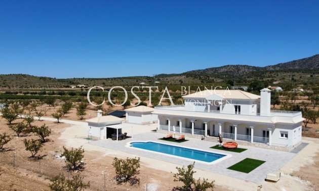 Villa - New Build - Pinoso - Pinoso