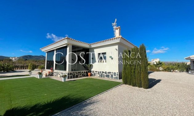 Villa - Nieuwbouw Woningen - Pinoso - Pinoso