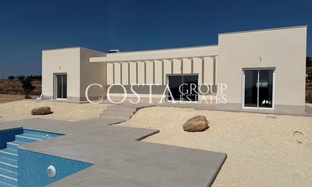 Villa - Nouvelle construction - Pinoso - Pinoso