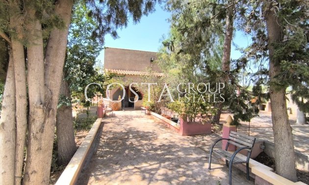 Villa - Resale - Jumilla -
                Jumilla Centro