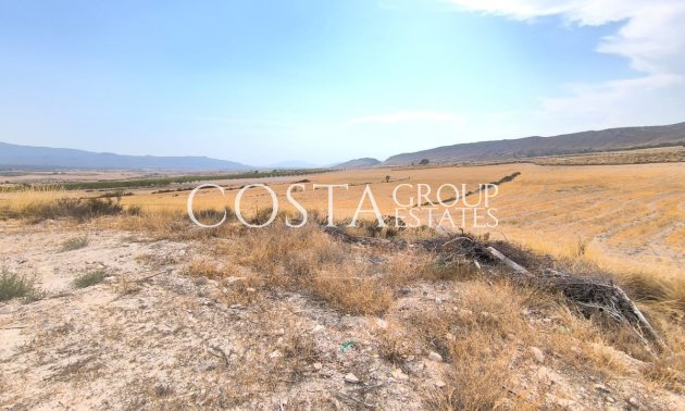 Villa - Resale - Jumilla - Jumilla Centro