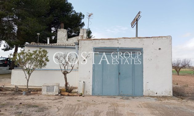 Villa - Resale - Yecla - Yecla Centro