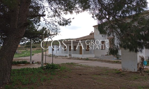 Villa - Resale - Yecla - Yecla Centro