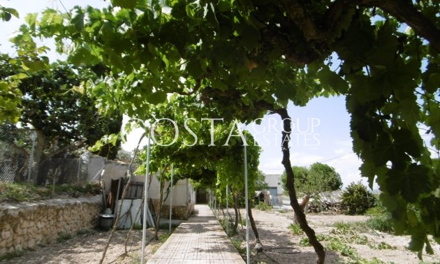 Villa - Resale - Yecla - Yecla Centro