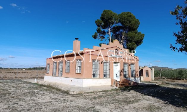 Villa - Resale - Yecla - Yecla Centro