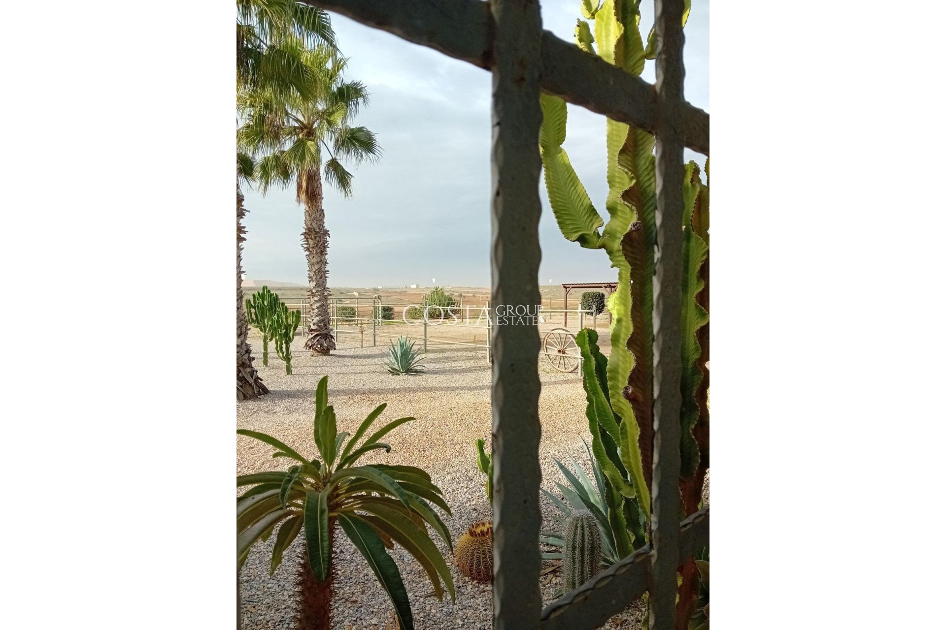 Wiederverkauf - House -
Fuente Álamo de Murcia