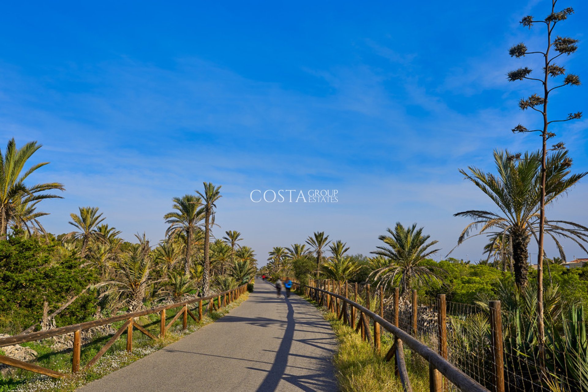 Wiederverkauf - House -
Guardamar del Segura - Guardamar del Segura Centro