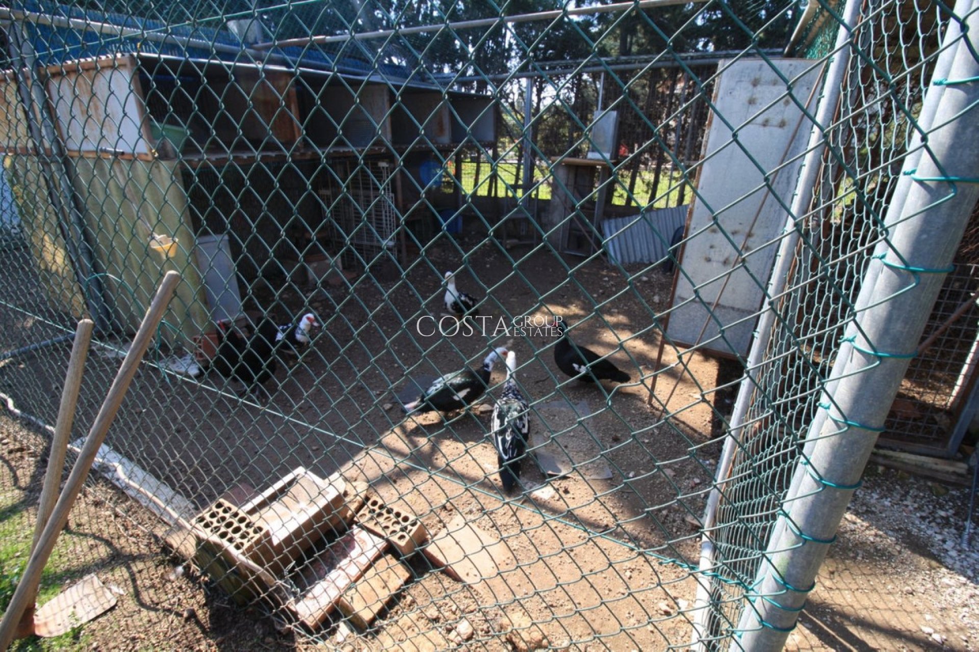 Wiederverkauf - House -
Orihuela - Orihuela Costa