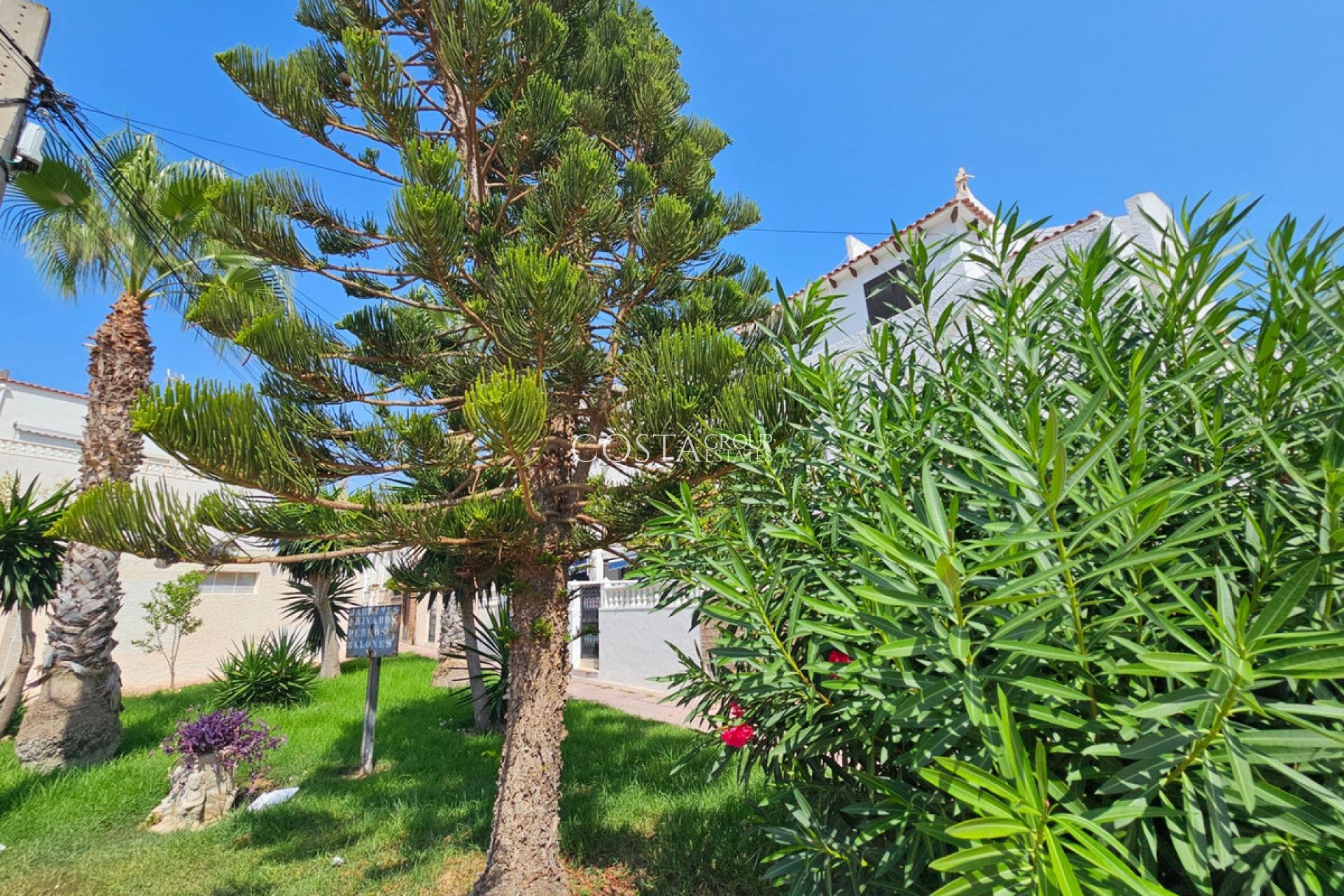 Wiederverkauf - House -
Torrevieja - Torrevieja Centro