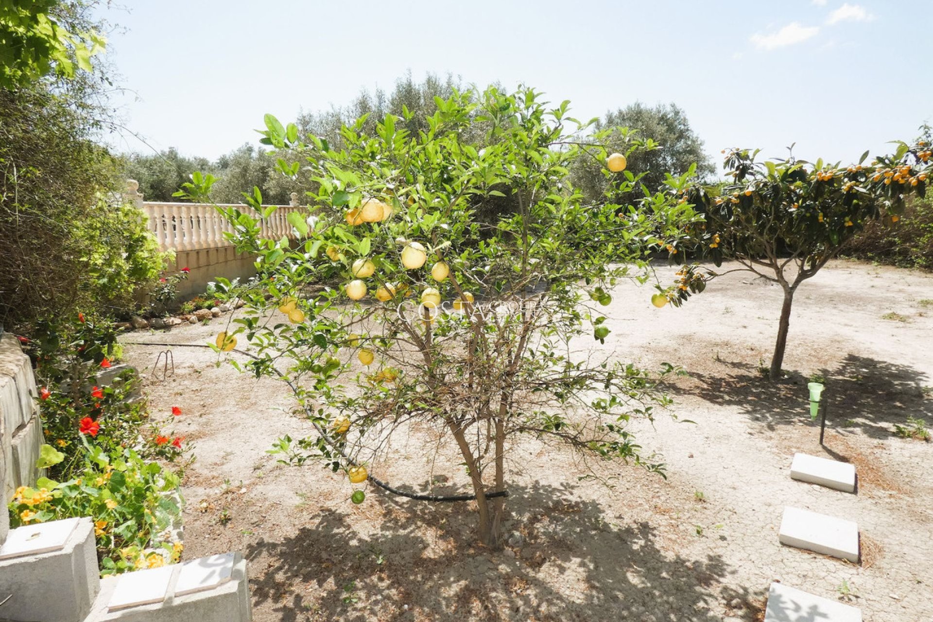 Wiederverkauf - Villa -
Dolores - Dolores Centro