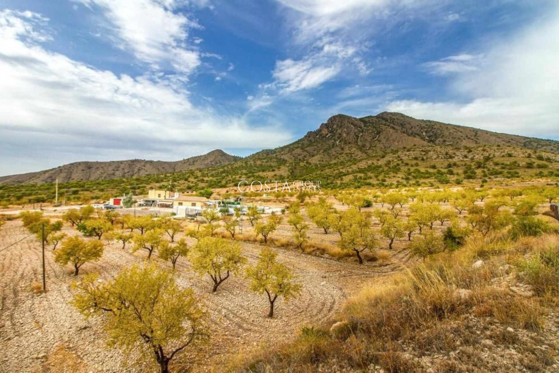 Wiederverkauf - Villa -
Jumilla - Jumilla Centro