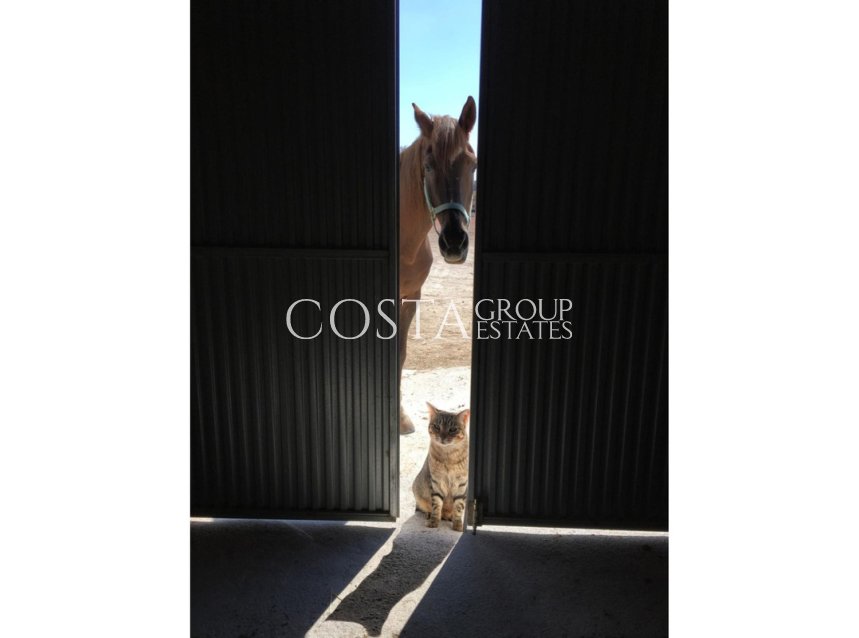 Wiederverkauf - Villa -
Jumilla - Torre del Rico