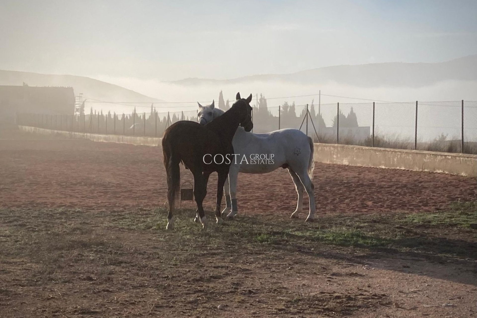 Wiederverkauf - Villa -
Jumilla - Torre del Rico