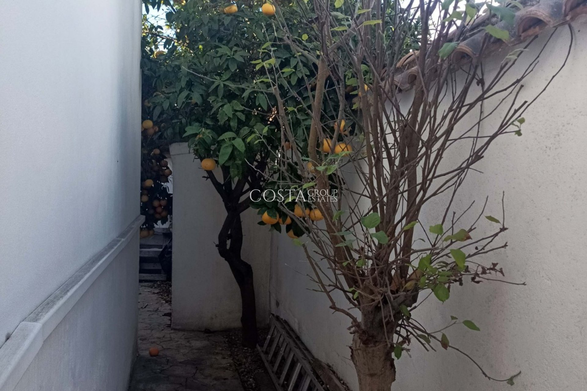 Wiederverkauf - Villa -
Orihuela - La Florida