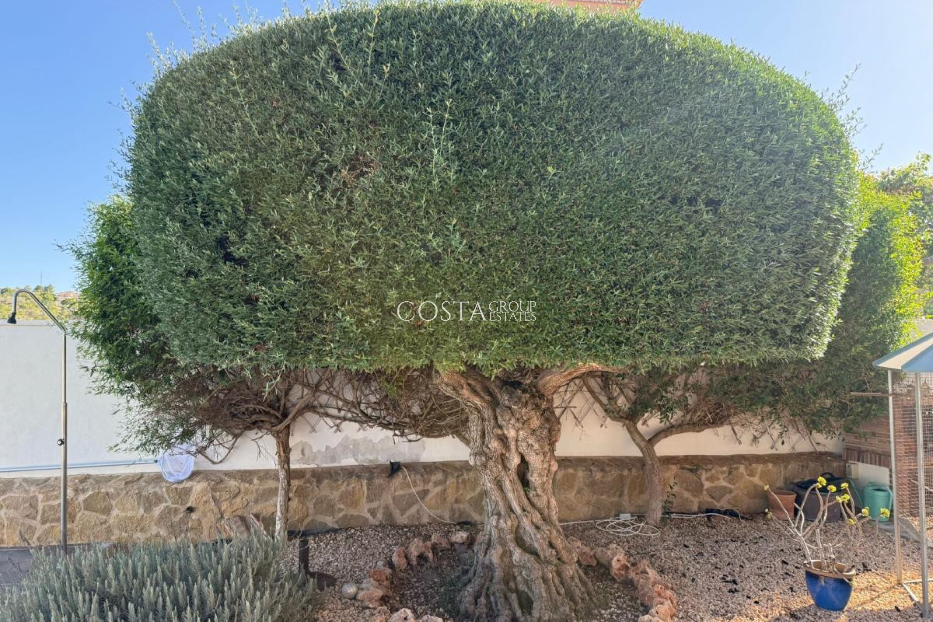 Wiederverkauf - Villa -
San Miguel de Salinas - San Miguel de Salinas Centro