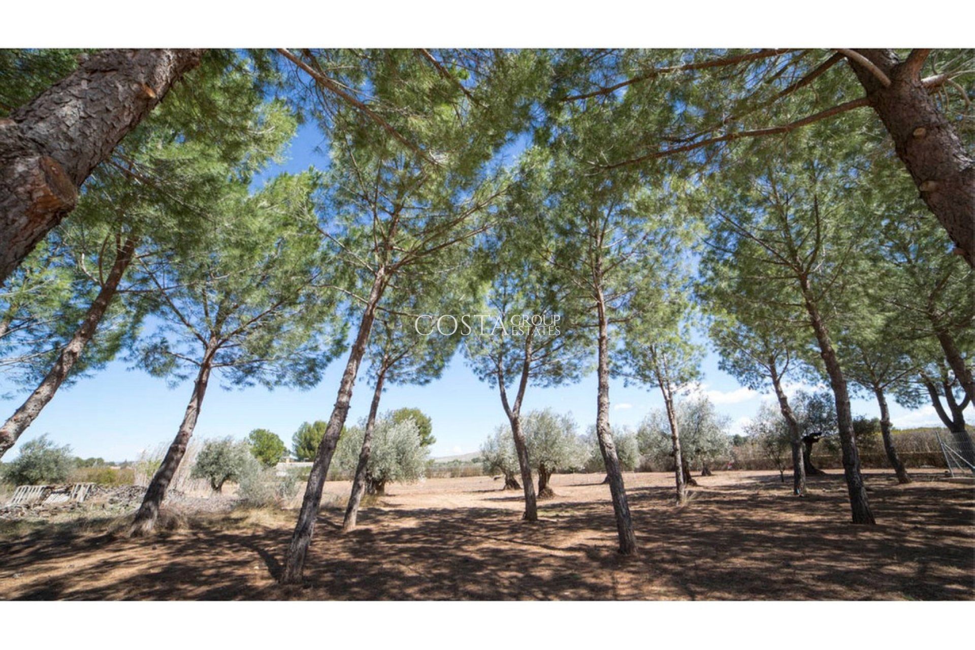 Wiederverkauf - Villa -
Yecla - Yecla Centro