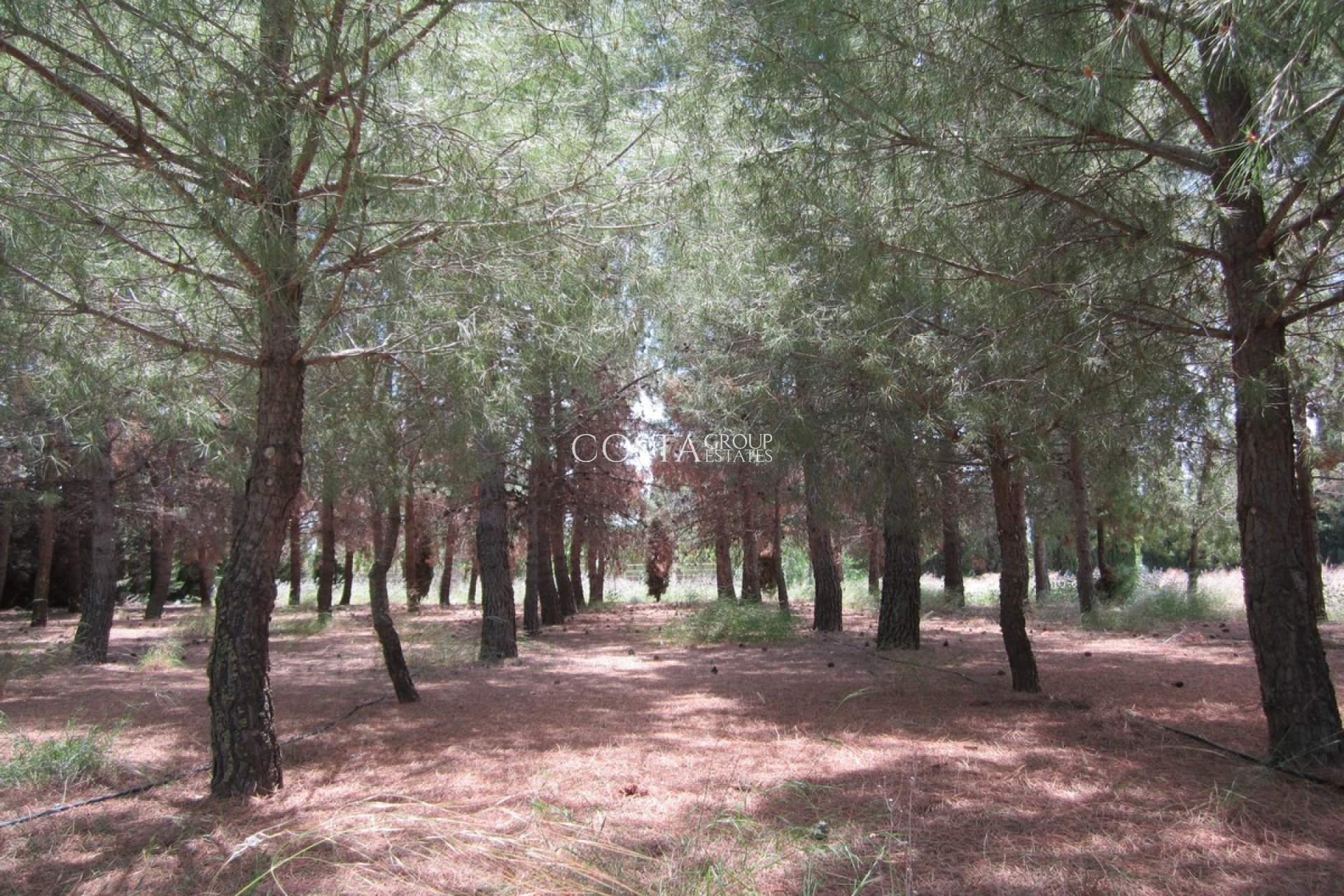 Wiederverkauf - Villa -
Yecla - Yecla Centro