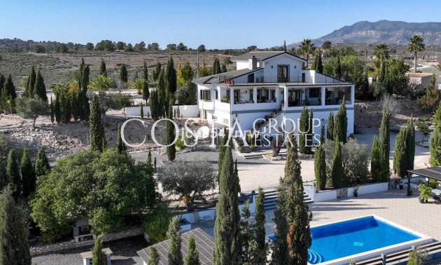 Willa - Odsprzedaż -
            Pinoso - RO-49894