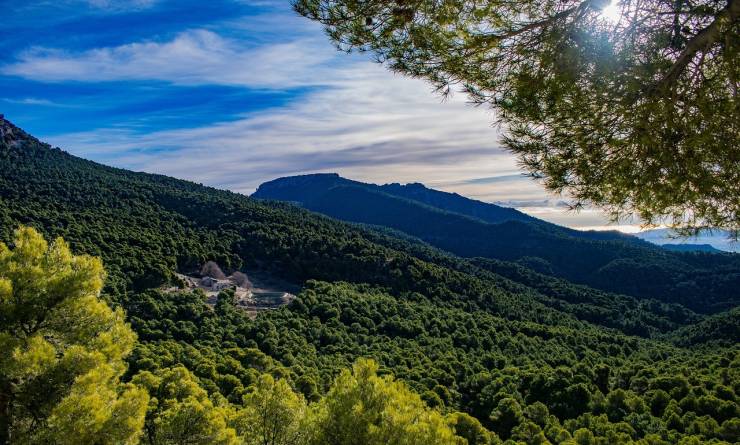 Soaking up some nature in Sierra de espuña Soaking up some nature in Sierra de espuña