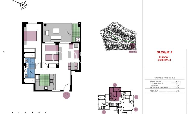 New Build - Apartment -
Pilar de la Horadada - Mil Palmeras