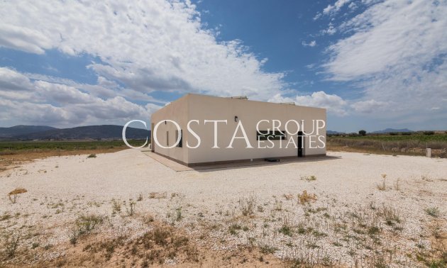 New Build - Villa -
Pinoso - Lel
