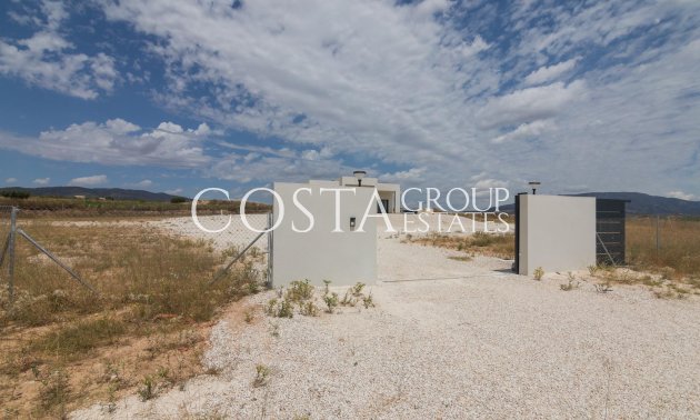 New Build - Villa -
Pinoso - Lel