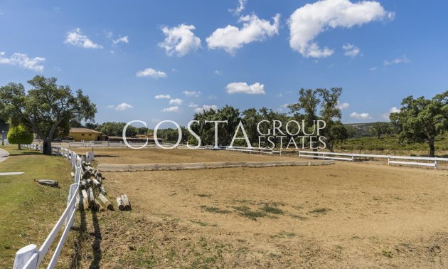 New Build - Ground floor apartment -
Sotogrande - San Roque Club