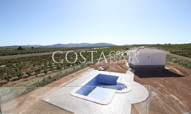 Nouvelle construction - Villa -
Pinoso