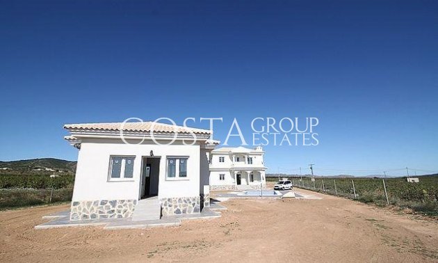 Nouvelle construction - Villa -
Pinoso