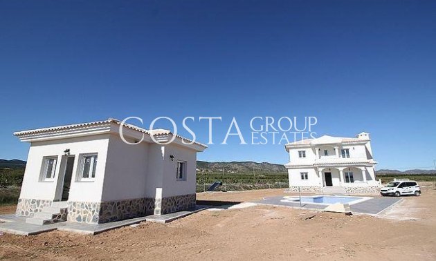 Nouvelle construction - Villa -
Pinoso