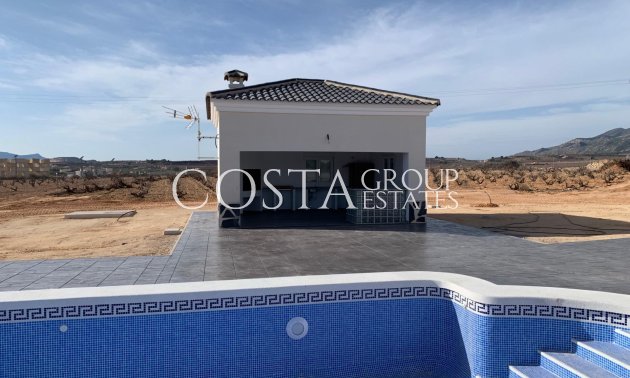 Nouvelle construction - Villa -
Pinoso