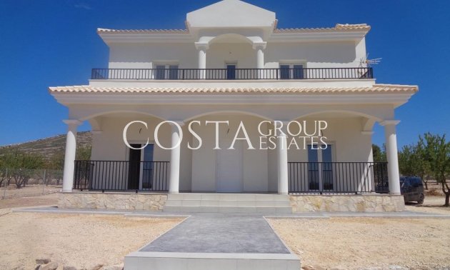 Nouvelle construction - Villa -
Pinoso