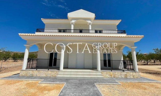 Nouvelle construction - Villa -
Pinoso
