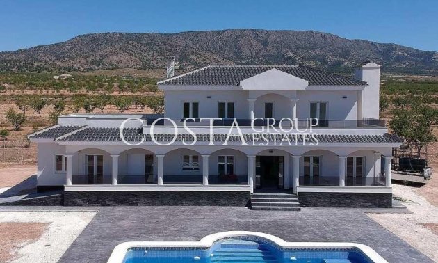 Neue Gebäude - Villa -
Pinoso