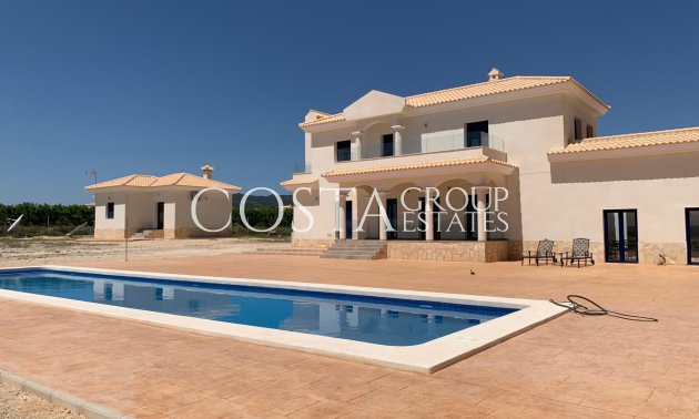 Neue Gebäude - Villa -
Pinoso