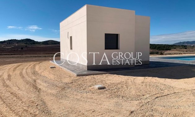 Neue Gebäude - Villa -
Pinoso