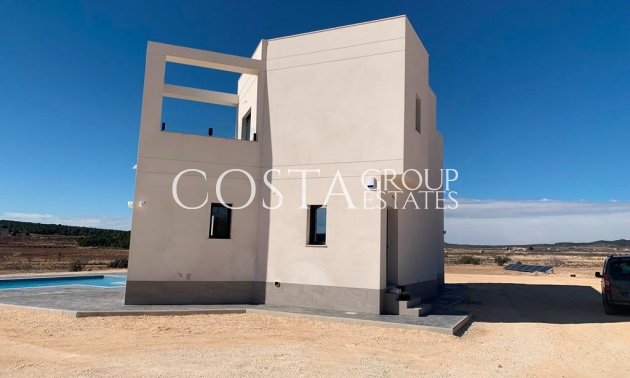 Neue Gebäude - Villa -
Pinoso