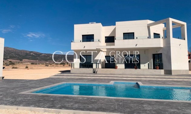 Neue Gebäude - Villa -
Pinoso