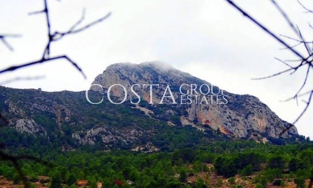 Neue Gebäude - Villa -
La Romana