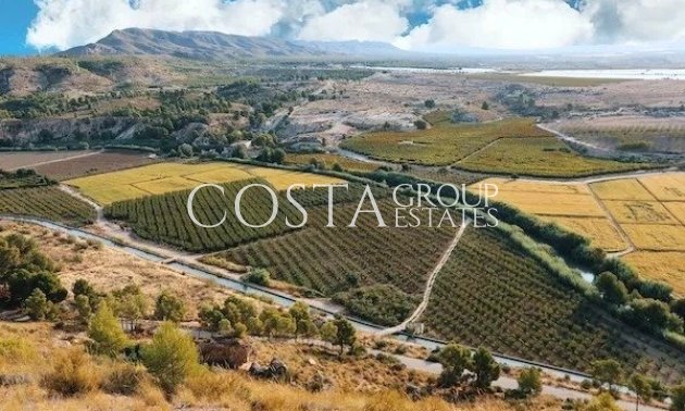 New Build - Villa -
Calasparra - Coto Riñales