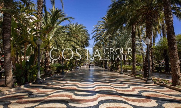 Neue Gebäude - Apartment -
Alicante - Centro