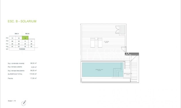 Nieuwbouw Woningen - Appartement -
Orihuela - Las Colinas Golf