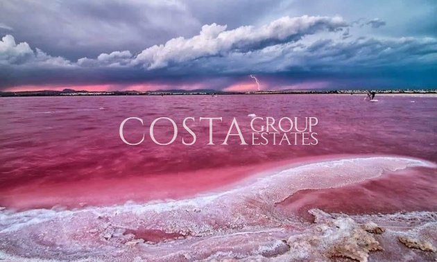 New Build - Apartments -
Torrevieja - Centro