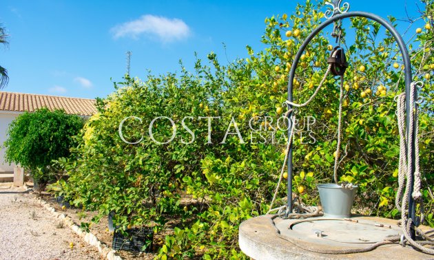 Herverkoop - Villa -
Guardamar del Segura - El Raso