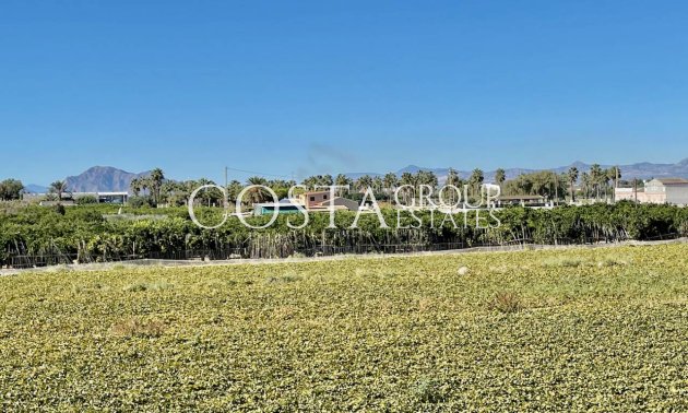 Herverkoop - Villa -
Guardamar del Segura