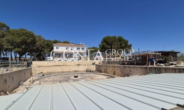 Resale - Villa -
Torrevieja - Los Balcones