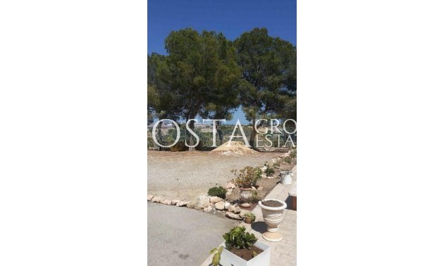 Resale - Villa -
Torrevieja - Los Balcones