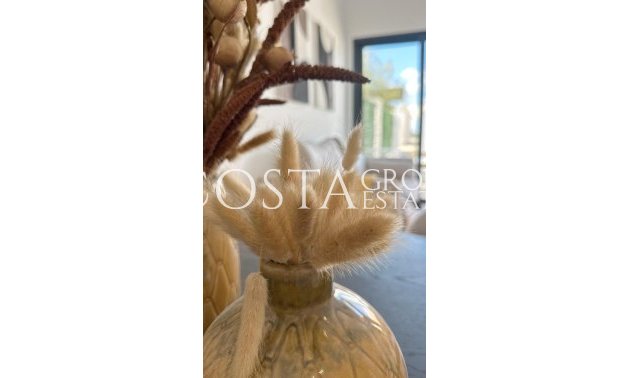 Nouvelle construction - Apartments -
San Fulgencio